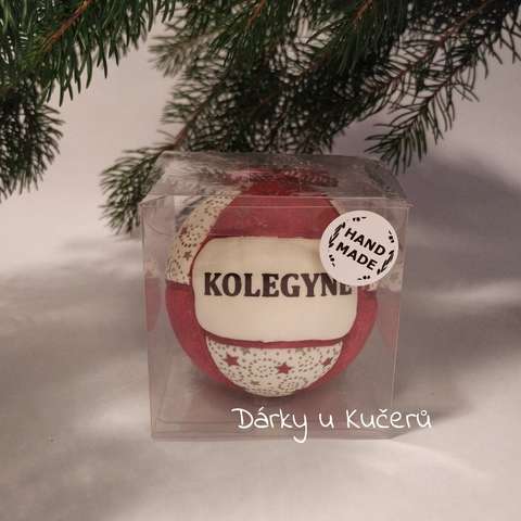 Kolegyně