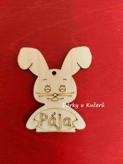 Pája