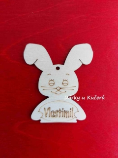Vlastimil