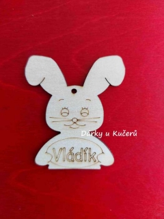 Vládík