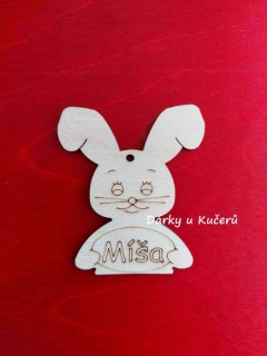 Míša