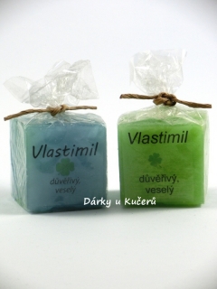 Vlastimil